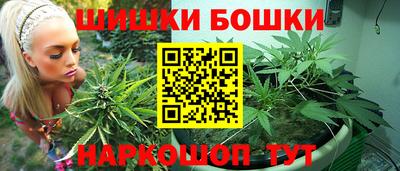 крисы Бузулук