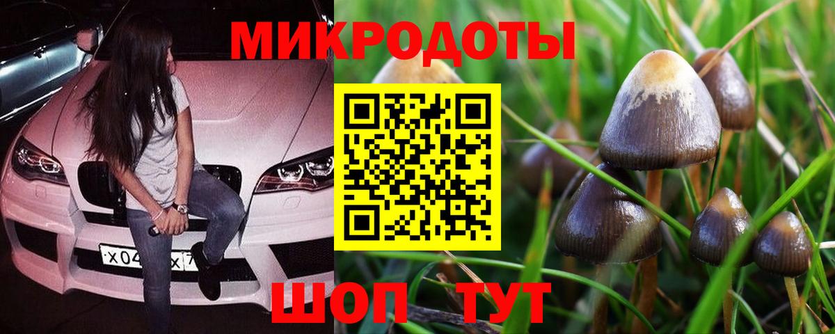 Сатка  Псилоцибиновые грибы Psilocybe  Вход с VPN 